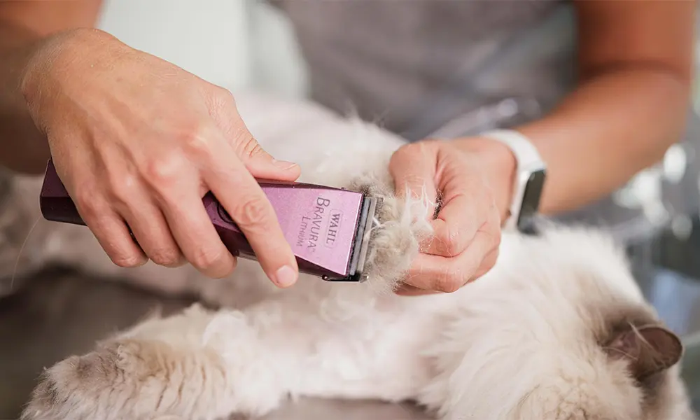 Wahl Official Store | Pet Clippers, Grooming Tools & Livestock Care Equipment