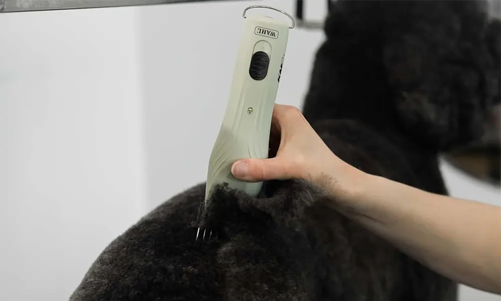 Wahl Official Store | Pet Clippers, Grooming Tools & Livestock Care Equipment