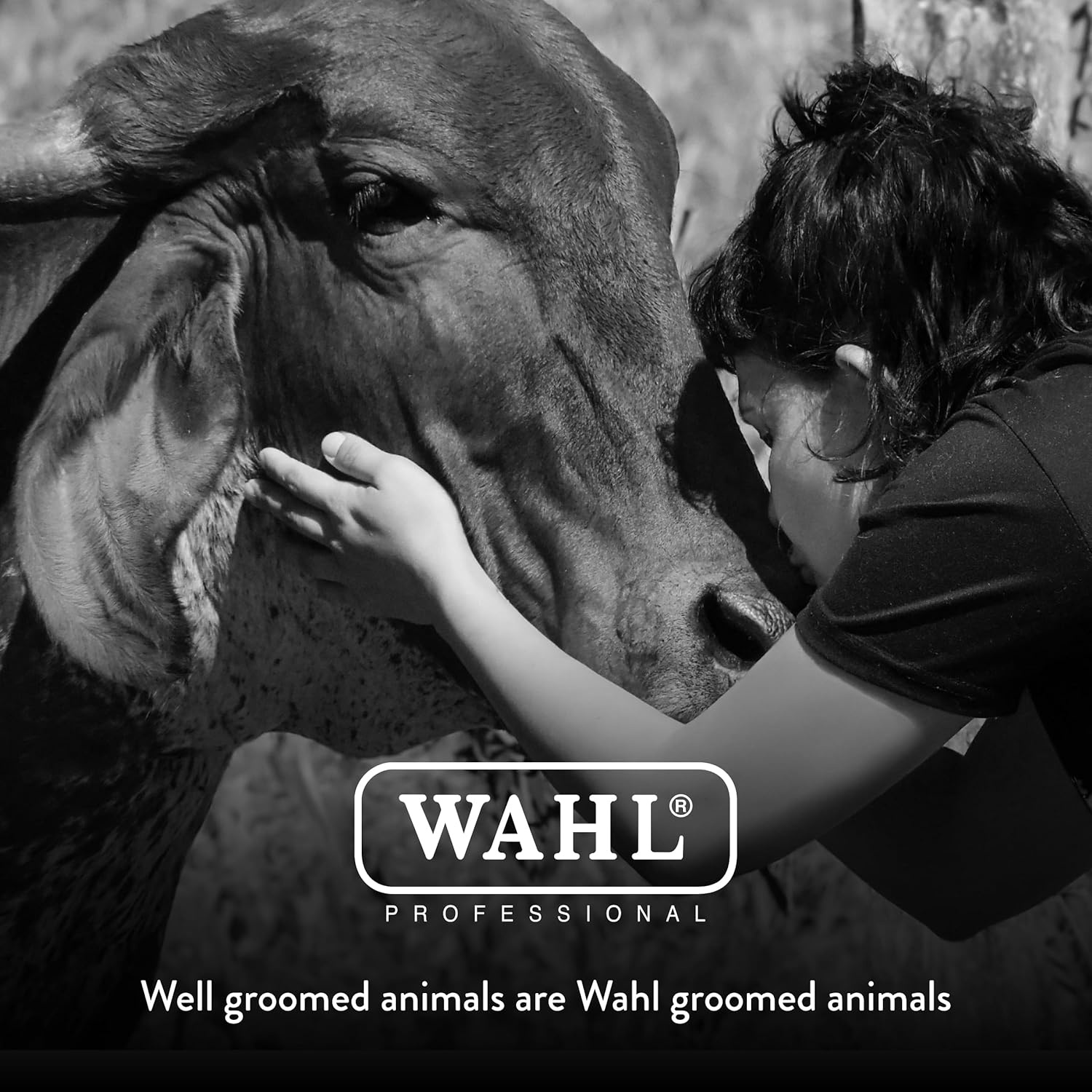 imageWahl Professional Animal 40 Surgical Ultimate Competition Series Detachable Blade with 3128Inch Cut Length 2352500XBlend