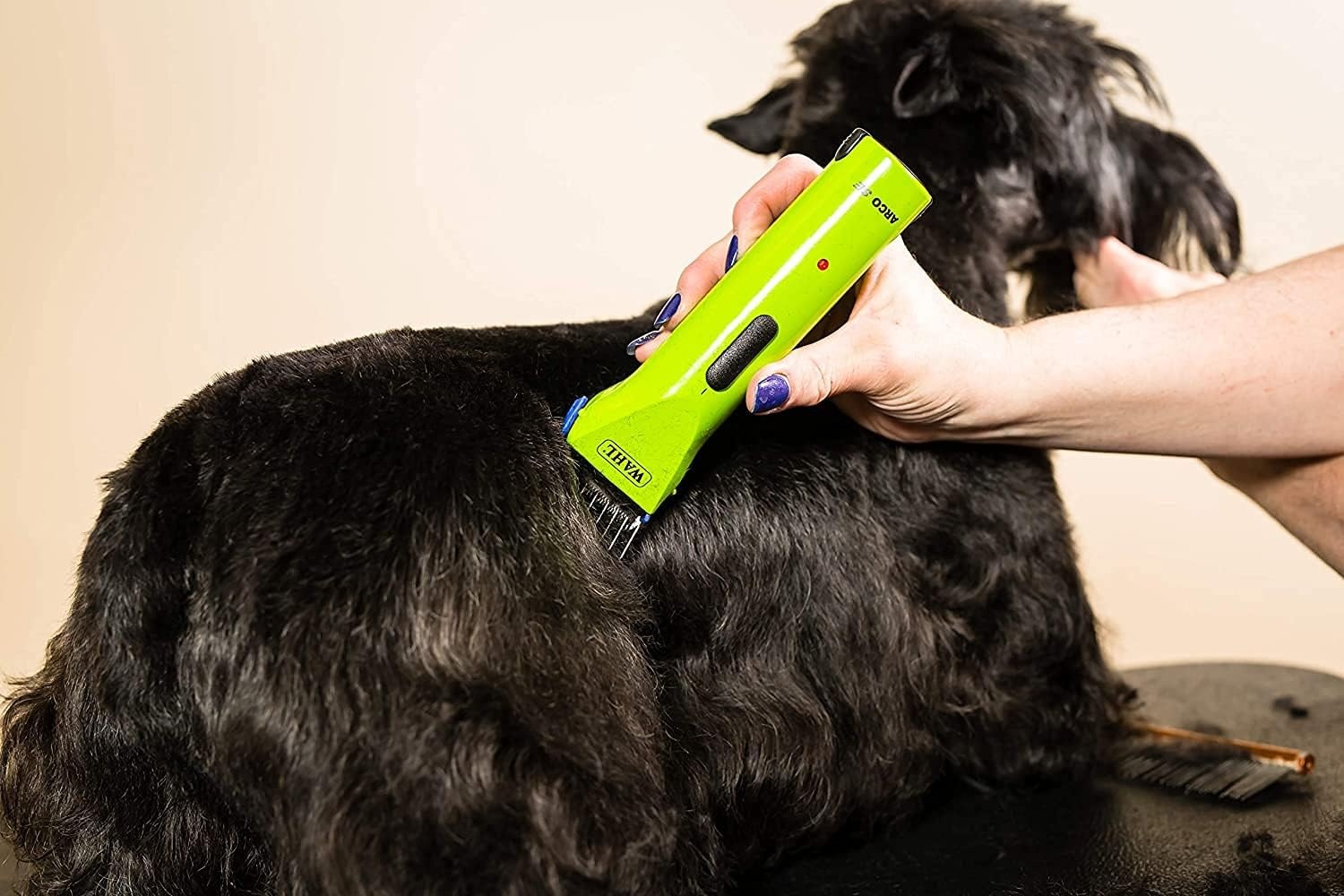 imageWahl Professional Animal Arco Pet Dog Cat and Horse Cordless Clipper Kit Champagne 8786452Green Apple
