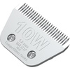 10 W