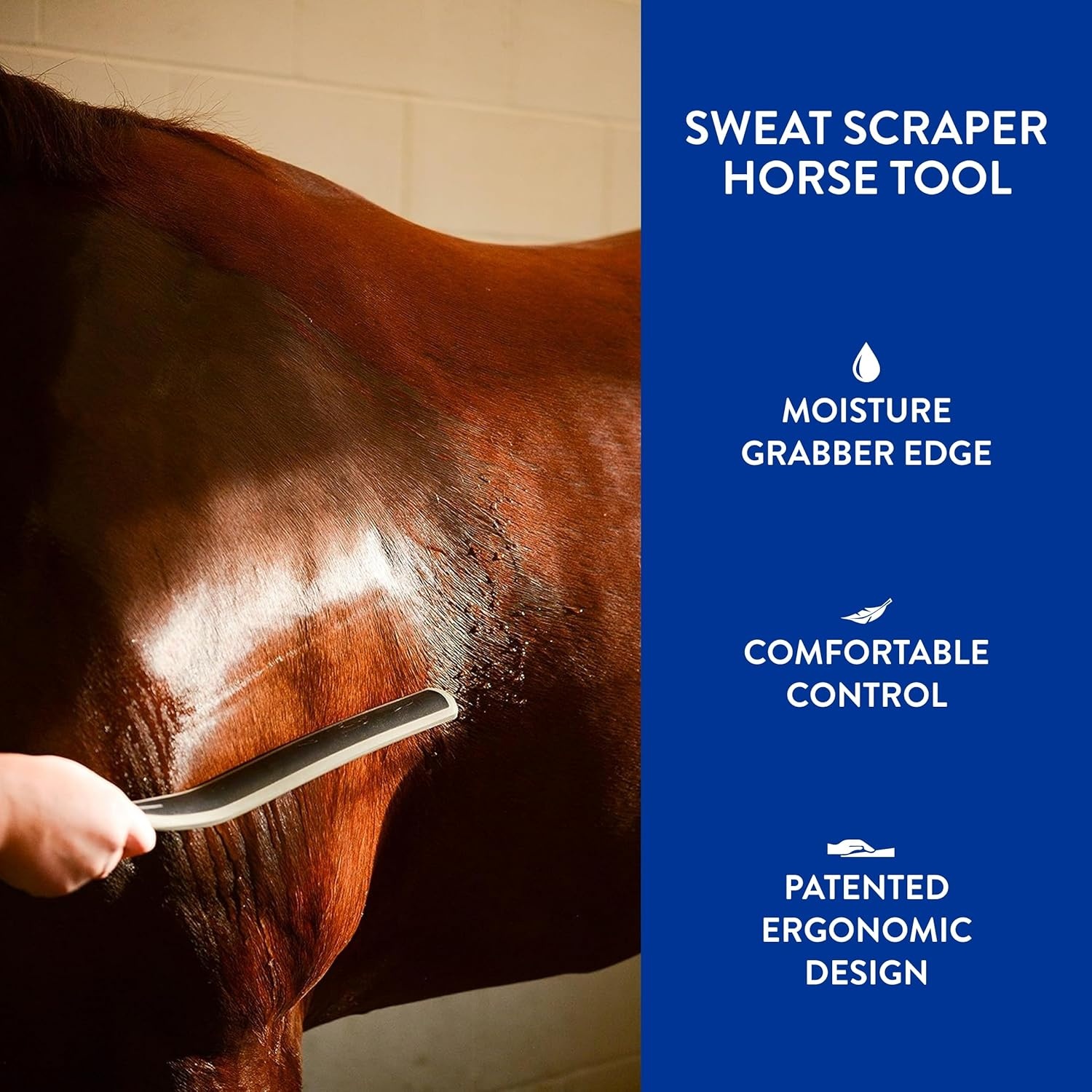 imageWAHL Professional Animal Equine Grooming Sweat Scraper Horse Tool BlackBlack