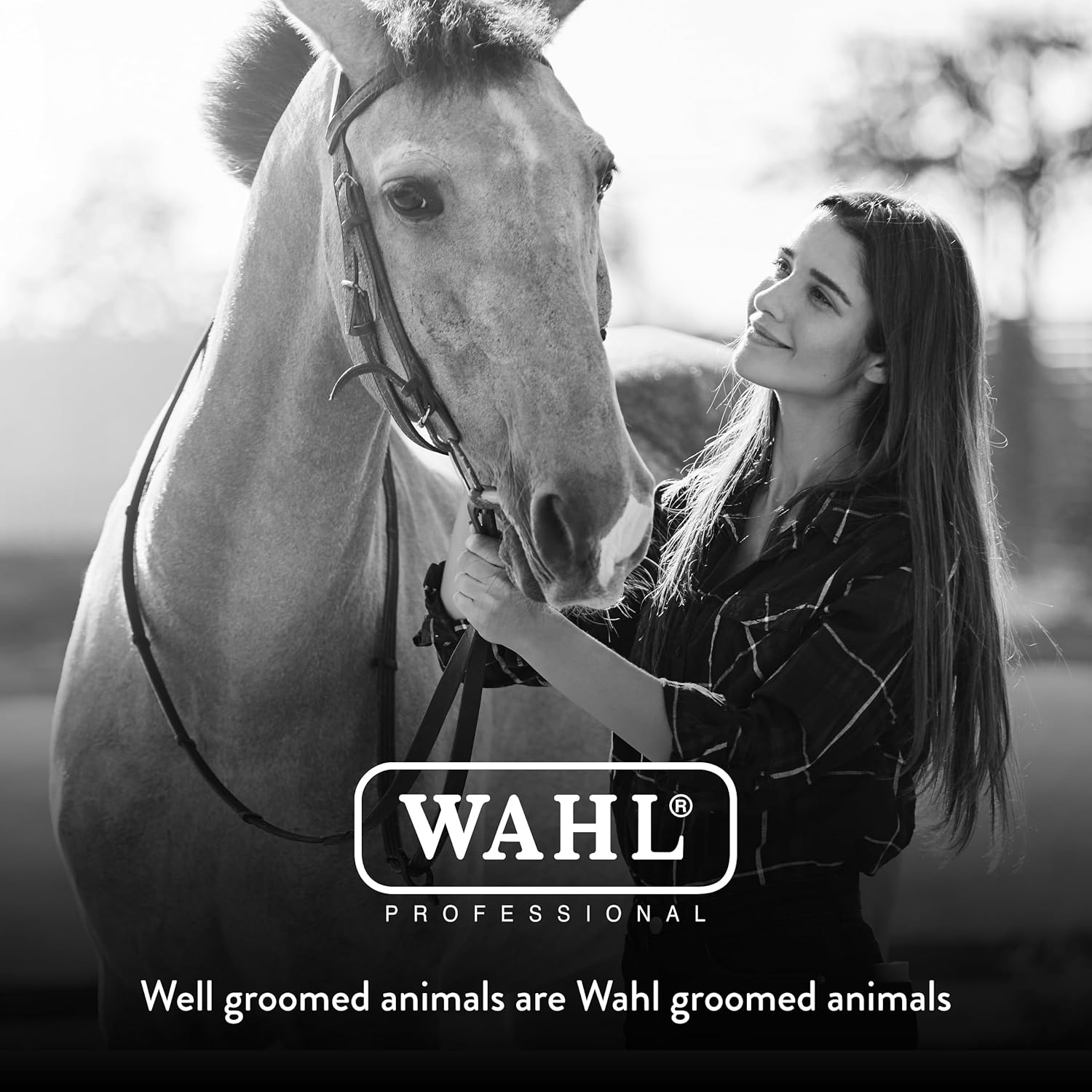 imageWAHL Professional Animal Equine Soft Body Horse Brush Black