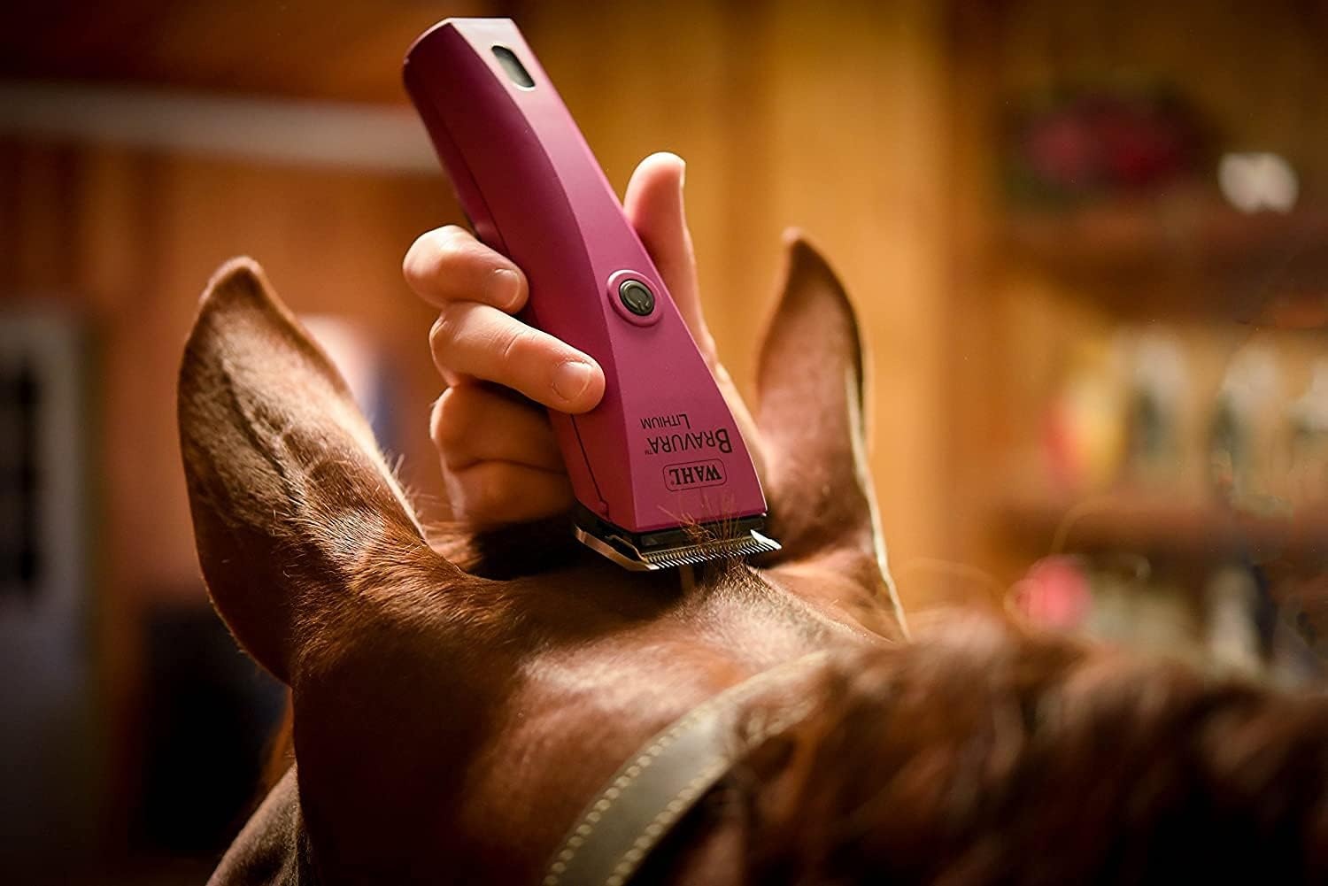 imageWahl Professional Animal Bravura Pet Dog Cat and Horse CordedCordless Clipper Kit Purple 418700423Berry
