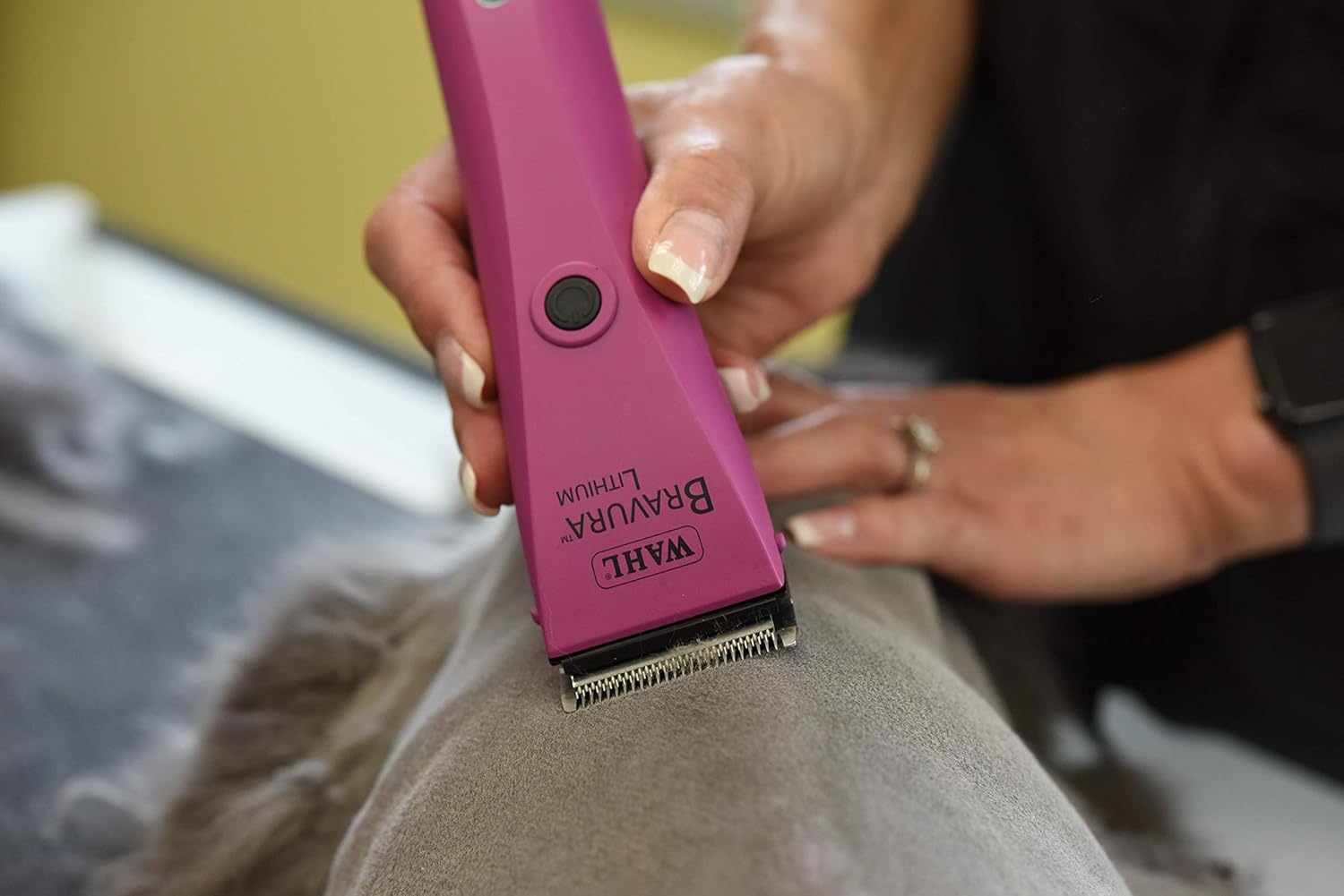 imageWahl Professional Animal Bravura Pet Dog Cat and Horse CordedCordless Clipper Kit Purple 418700423Berry
