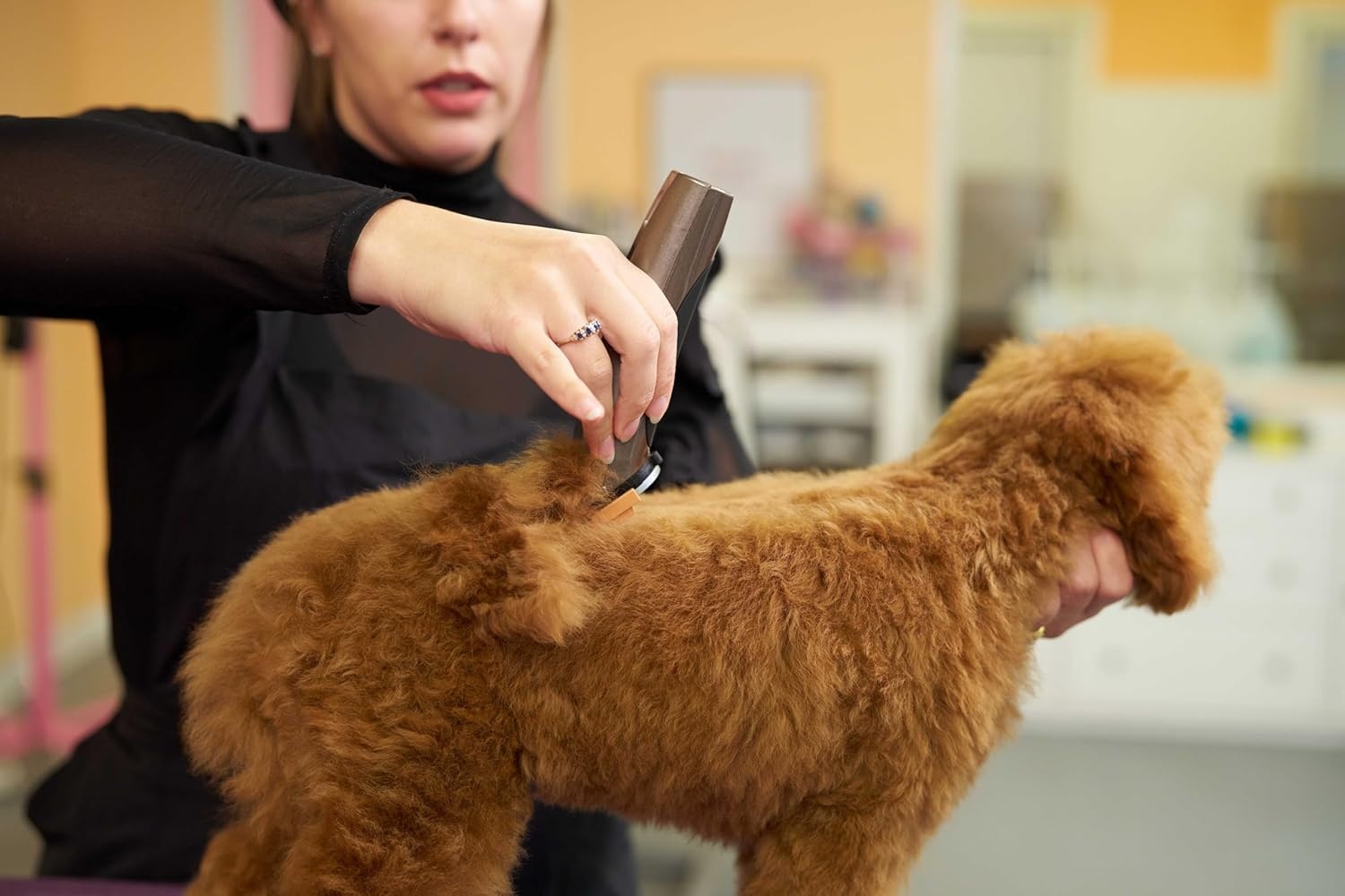 imageWahl Professional Animal Bravura Pet Dog Cat and Horse CordedCordless Clipper Kit Purple 418700423Gunmetal