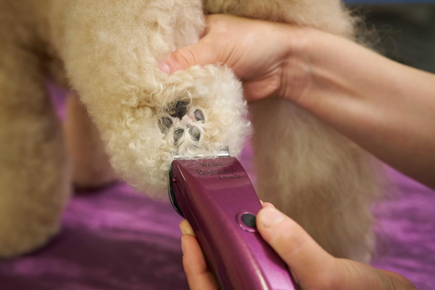 imageWahl Professional Animal Bravura Pet Dog Cat and Horse CordedCordless Clipper Kit Purple 418700423Purple