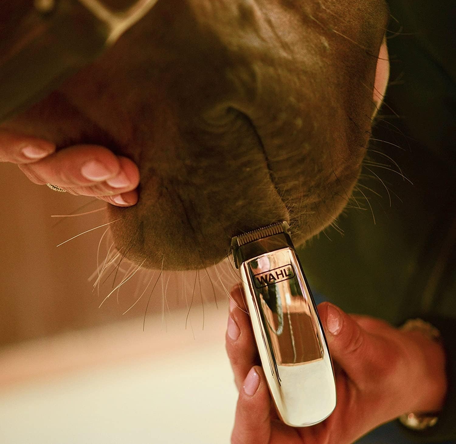 imageWahl Professional Animal Equine Super Pocket Pro Trimmer
