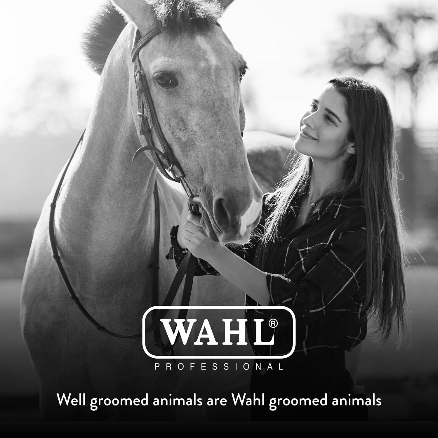 imageWahl Professional Animal Ergonomic Horse Grooming Rubber Curry Brush 858712 Black Hair Type All For EquestriansTurquoise