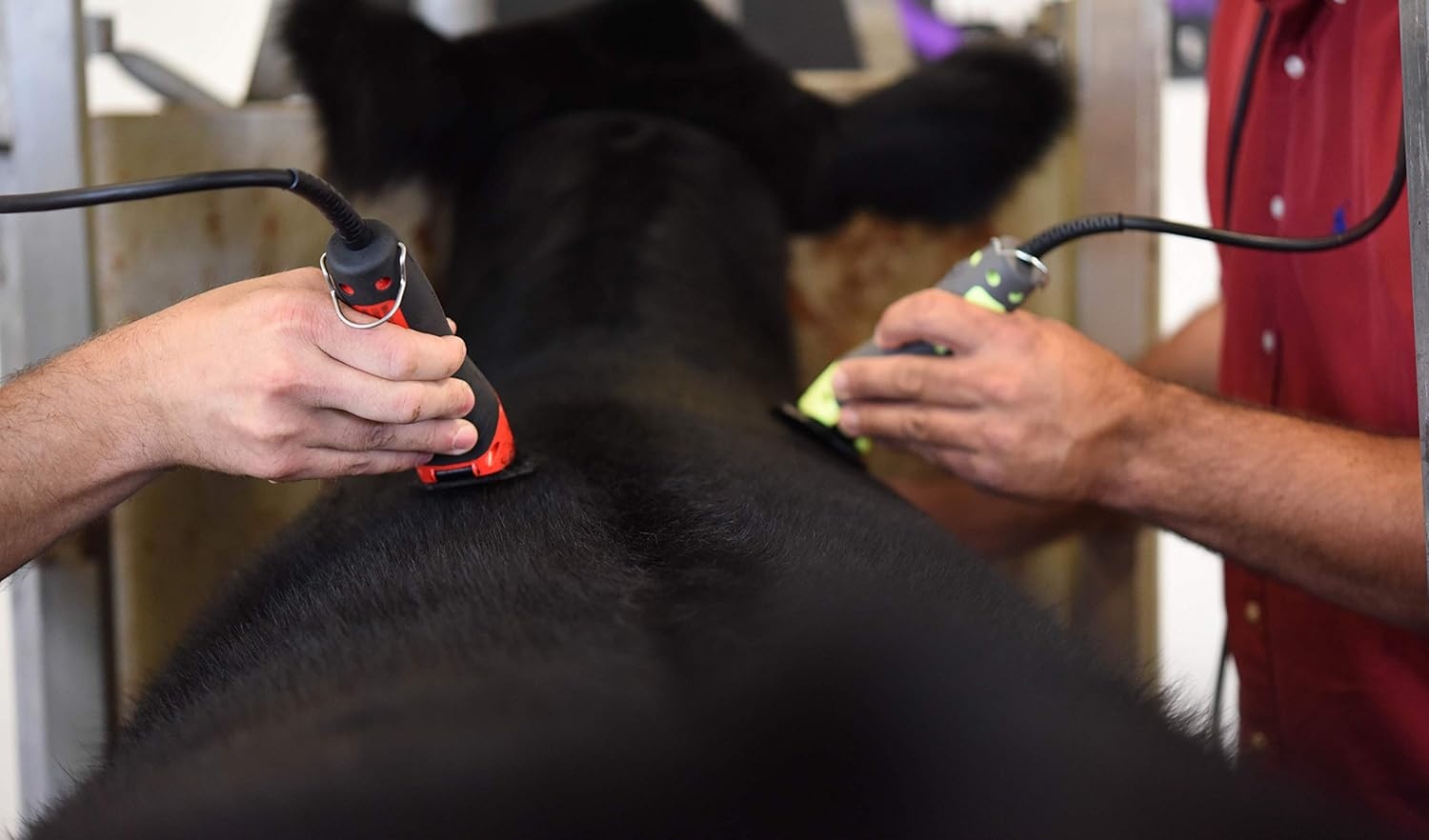 imageWahl Professional Animal XBlock 2Speed High Speed Cattle Fitting Clipper Kit Red 9597 306LB 95970Yellow