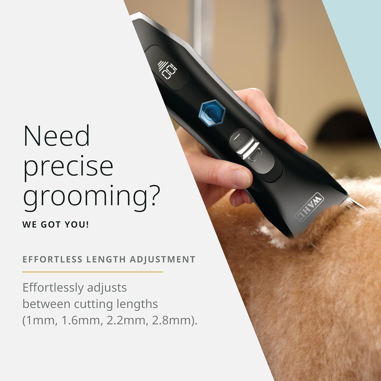 imageWahl Pro Animal 4in1 Bladeset for Smart Clip Pet Clipper Adjustable Grooming Blade for Light Body Clipping Trim Work amp Sanitary Areas HighPerformance ChromePlated Replacement Blade