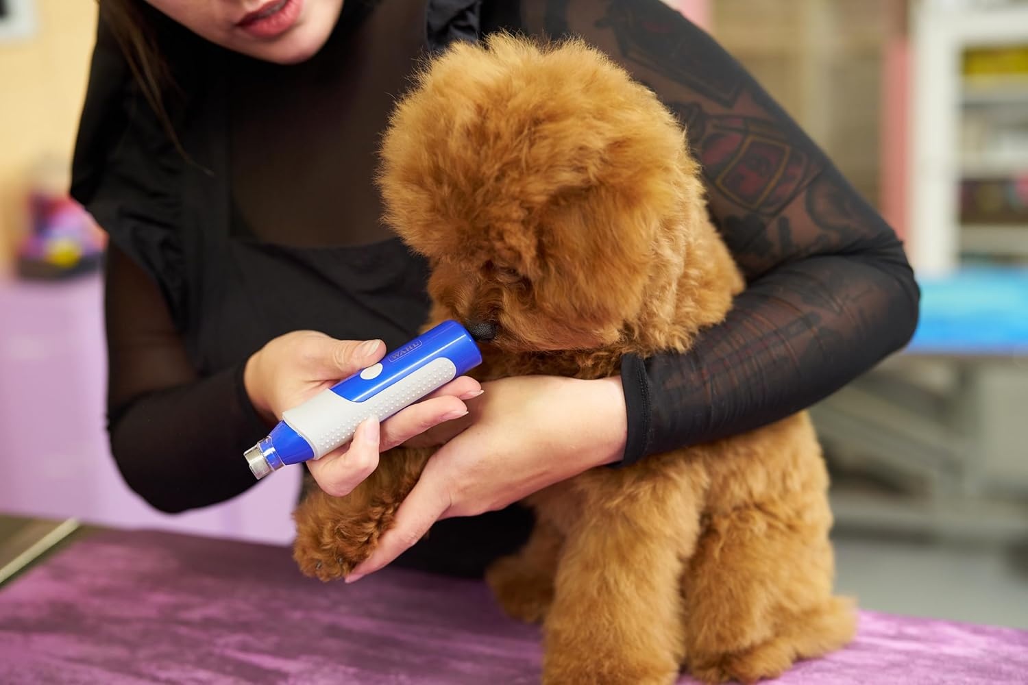 imageWahl Professional Animal Flexion Cat and Dog Nail Grinder Professional 2Speed Rechargeable Electric Pet Nail Trimmer Paw Grooming amp Smoothing for Dogs amp Cats 3023207