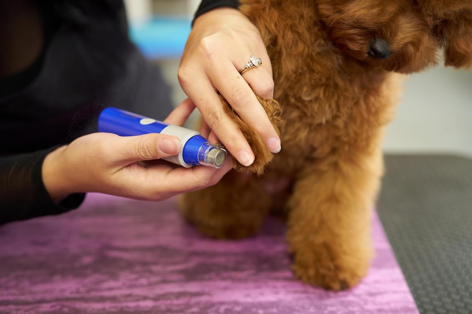 imageWahl Professional Animal Flexion Cat and Dog Nail Grinder Professional 2Speed Rechargeable Electric Pet Nail Trimmer Paw Grooming amp Smoothing for Dogs amp Cats 3023207